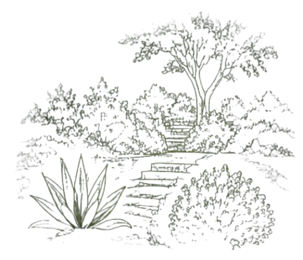 fondo-jardin